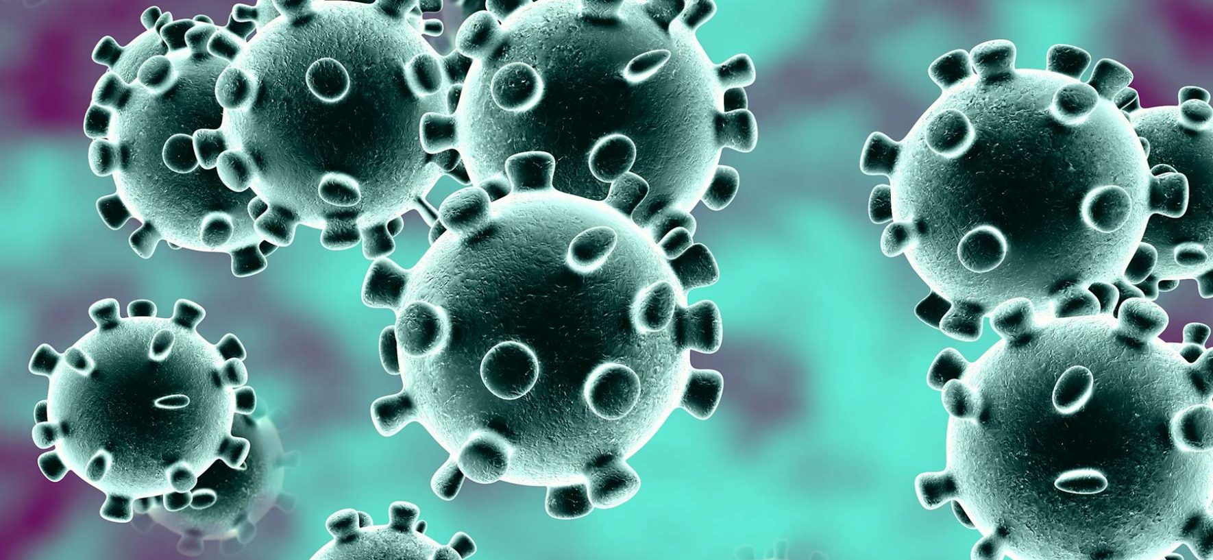 Update | Maatregelen omtrent het Coronavirus